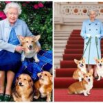 Lima Fakta Menarik Ratu Elizabeth II yang Jarang Diketahui